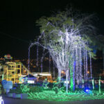 img 0264