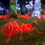 PARQUE TURBAY 003