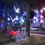 PARQUE TURBAY 004