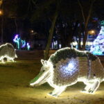 parque la pera caÑaveral 11